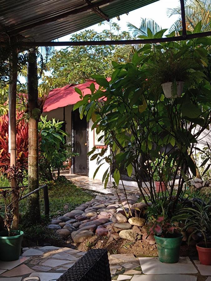 Buenavista  Posadamanduka Eco-Hostel מראה חיצוני תמונה