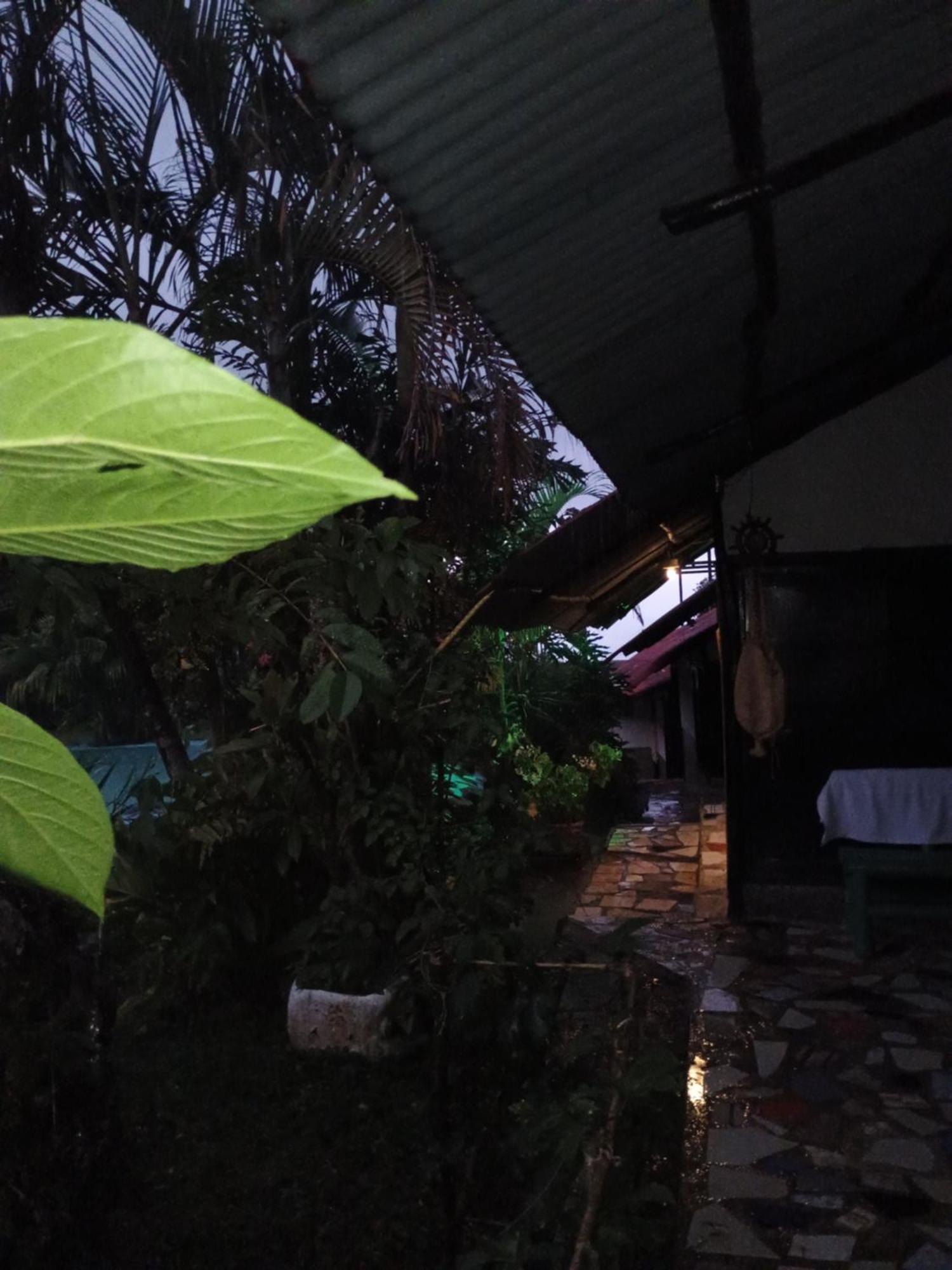 Buenavista  Posadamanduka Eco-Hostel מראה חיצוני תמונה